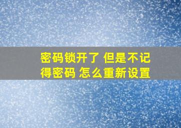 密码锁开了 但是不记得密码 怎么重新设置